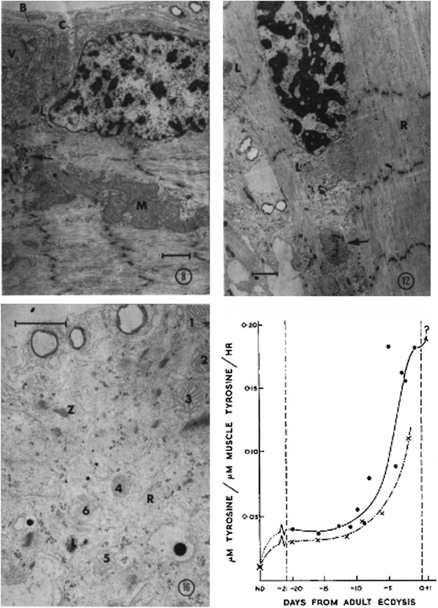 Programmed cell death 50 (and beyond)