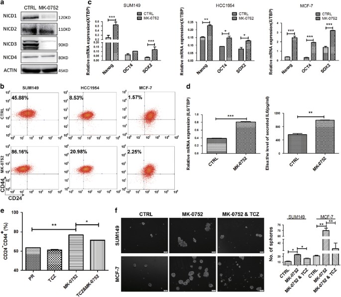 Il6 Blockade Potentiates The Anti Tumor Effects Of G Secretase Inhibitors In Notch3 Expressing Breast Cancer Cell Death Differentiation