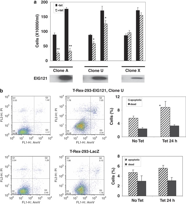 The Novel Estrogen Induced Gene Eig121 Regulates Autophagy And Promotes Cell Survival Under Stress Cell Death Disease