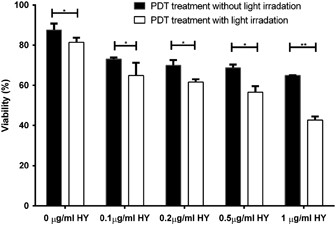 Hypericin Photodynamic Therapy Leads To Interleukin 6 Secretion By Hepg2 Cells And Their Apoptosis Via Recruitment Of Bh3 Interacting Domain Death Agonist And Caspases Cell Death Disease