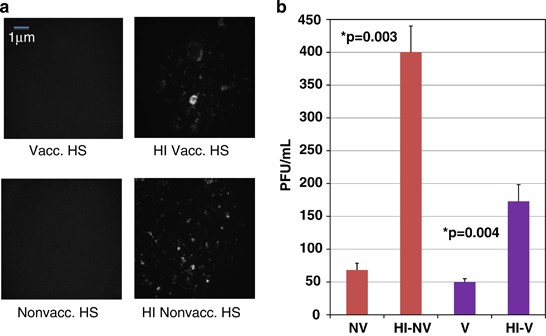 Inhibitors Of C5 Complement Enhance Vaccinia Virus Oncolysis Cancer Gene Therapy