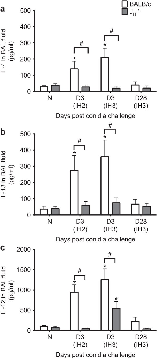 B Lymphocytes Regulate Airway Granulocytic Inflammation And Cytokine Production In A Murine Model Of Fungal Allergic Asthma Cellular Molecular Immunology