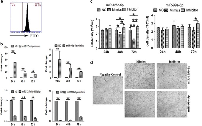 miR-125b-5p and miR-99a-5p downregulate human γδ T-cell activation and  cytotoxicity | Cellular & Molecular Immunology