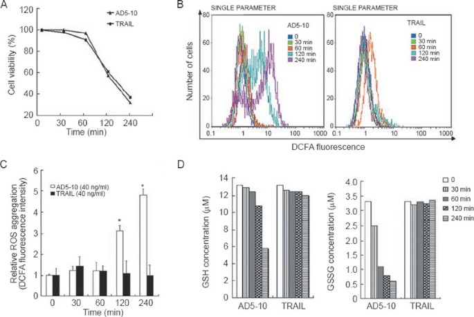 An agonistic monoclonal antibody against DR5 induces ROS production,  sustained JNK activation and Endo G release in Jurkat leukemia cells | Cell  Research