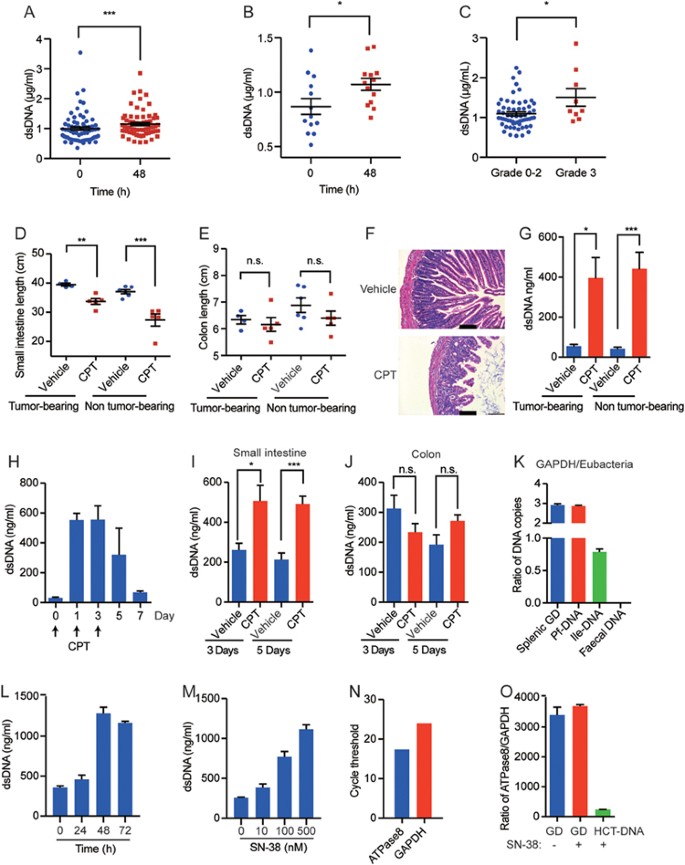Chemotherapy-induced intestinal inflammatory responses are mediated by  exosome secretion of double-strand DNA via AIM2 inflammasome activation |  Cell Research