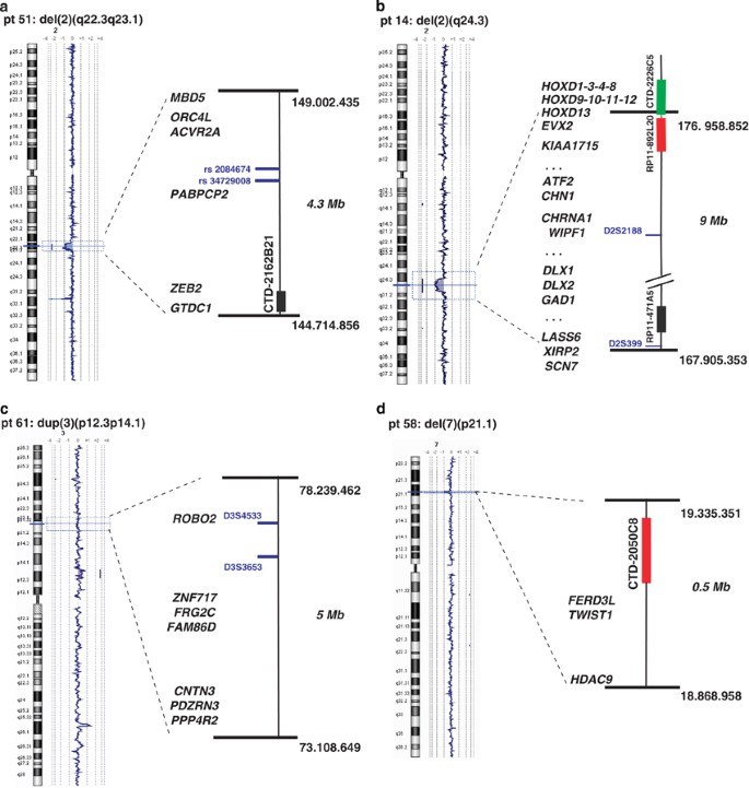 Genetic heterogeneity in Rubinstein–Taybi syndrome: delineation of