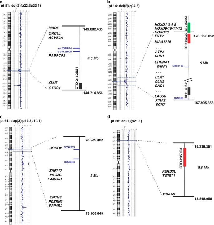 High frequency of copy number imbalances in Rubinstein–Taybi