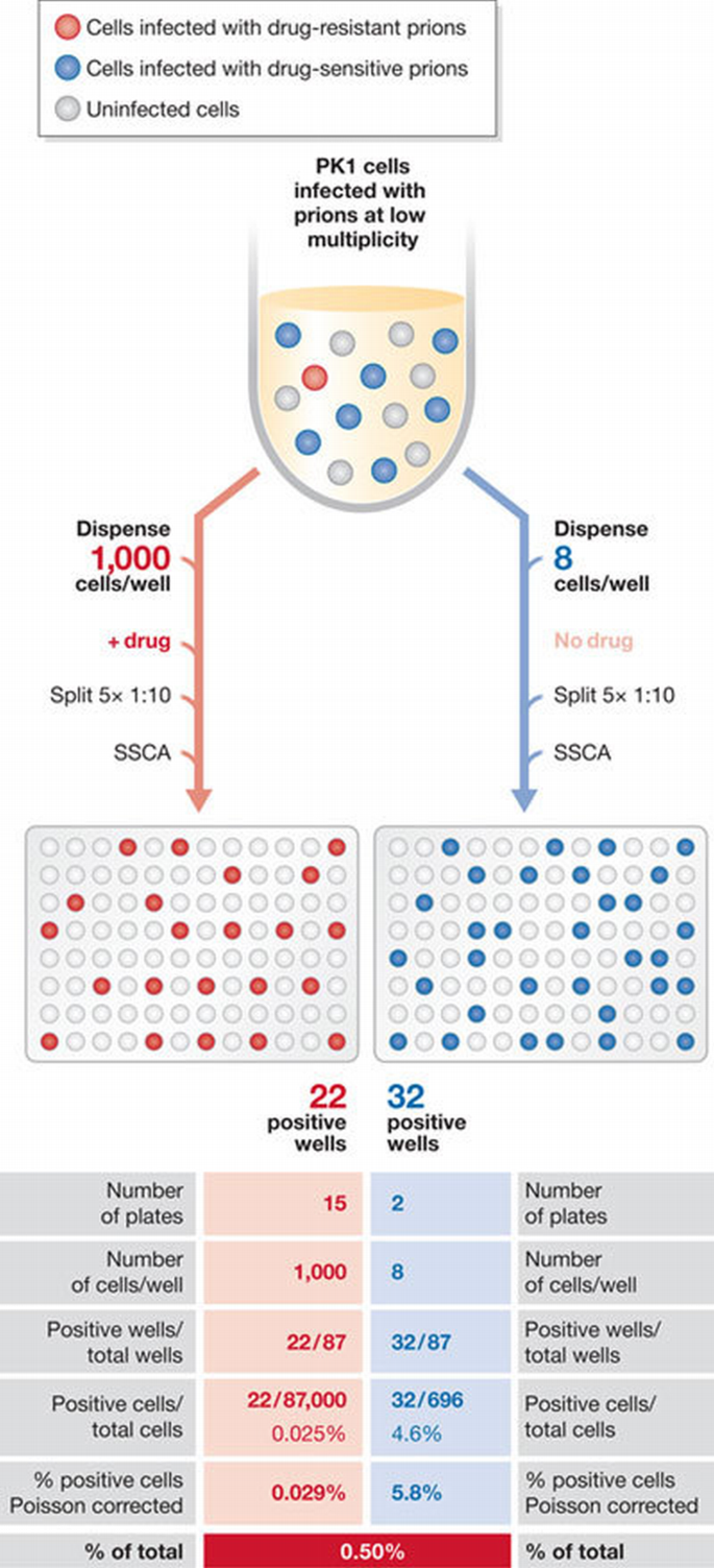Prions on the move | EMBO Reports | Springer Nature Link