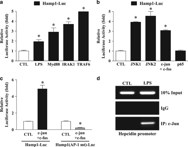 Hepatocyte toll-like receptor 4 mediates lipopolysaccharide-induced hepcidin  expression | Experimental & Molecular Medicine