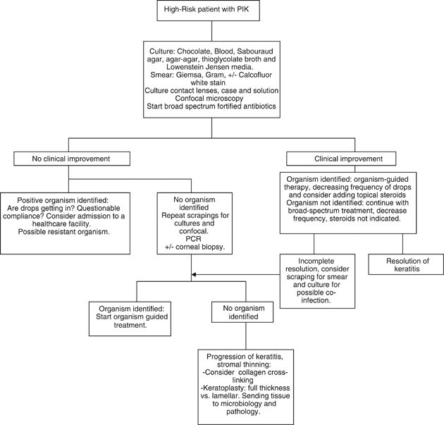 What is causing the corneal ulcer? Management strategies for unresponsive corneal ulceration | Eye What Is Causing The Corneal Ulcer? Management Strategies For Unresponsive Corneal Ulceration | Eye