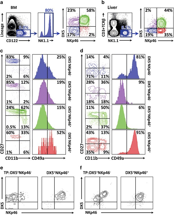 Nk Cell Development In Bone Marrow And Liver Site Matters Genes Immunity