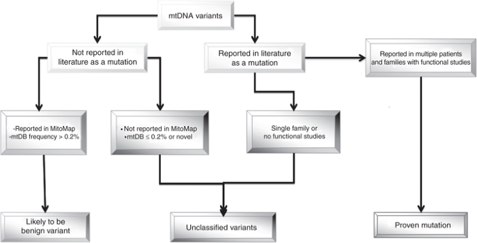 Make A Concept Map That Relates Dnas Primary Structure To Its Secondary Structure. An integrated approach for classifying mitochondrial DNA variants 