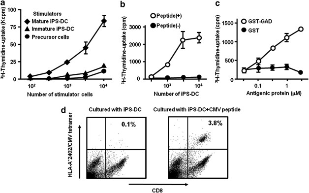 Generation Of Dendritic Cells And Macrophages From Human Induced Pluripotent Stem Cells Aiming At Cell Therapy Gene Therapy