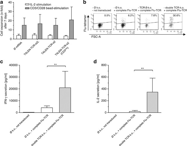 Talen Mediated Editing Of Endogenous T Cell Receptors Facilitates Efficient Reprogramming Of T Lymphocytes By Lentiviral Gene Transfer Gene Therapy
