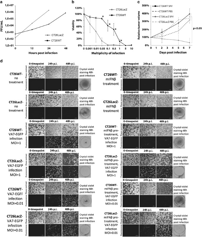 Clonal Variation In Interferon Response Determines The Outcome Of Oncolytic Virotherapy In Mouse Ct26 Colon Carcinoma Model Gene Therapy