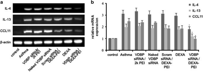 A New Combination Therapy For Asthma Using Dual Function Dexamethasone Conjugated Polyethylenimine And Vitamin D Binding Protein Sirna Gene Therapy