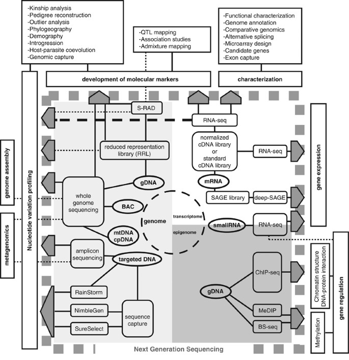 describe the application architecture and process design riordan manufacturing