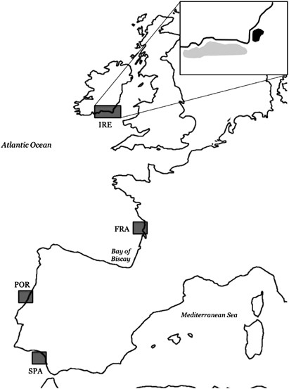 Exploring Neutral And Adaptive Processes In Expanding Populations Of Gilthead Sea Bream Sparus Aurata L In The North East Atlantic Heredity