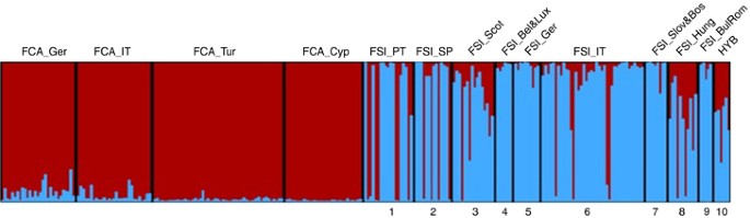 Toward A Genome Wide Approach For Detecting Hybrids Informative Snps To Detect Introgression Between Domestic Cats And European Wildcats Felis Silvestris Heredity