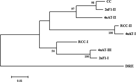 figure 5