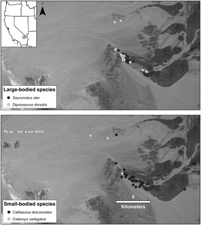 figure1