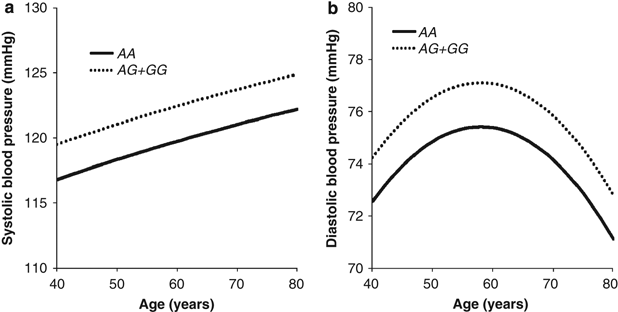 Association Of Polymorphisms Of Sorbs1 Gck And Wisp1 With Hypertension In Community Dwelling Japanese Individuals Hypertension Research