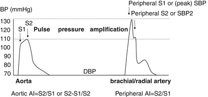 blood pressure pulse