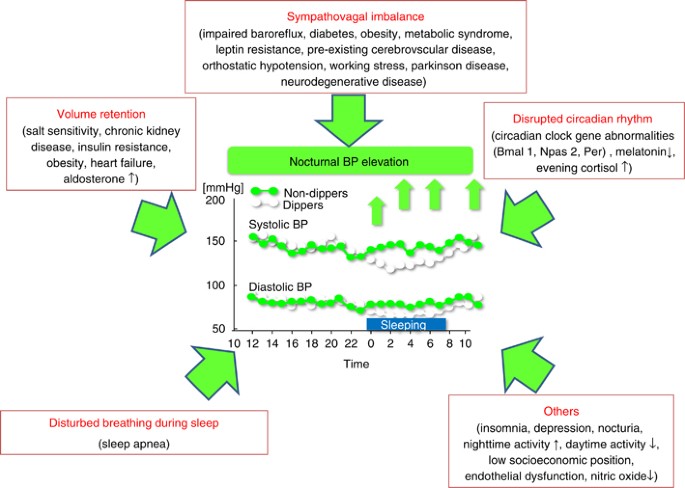 Nocturnal Blood Pressure And Cardiovascular Disease A - 