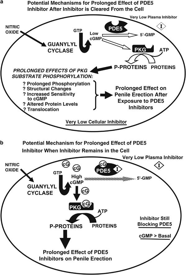  figure2