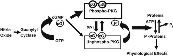  figure3