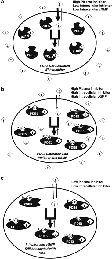  figure4