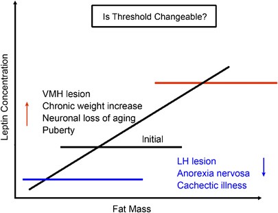 Molecular Physiology Of Weight Regulation In Mice And Humans International Journal Of Obesity