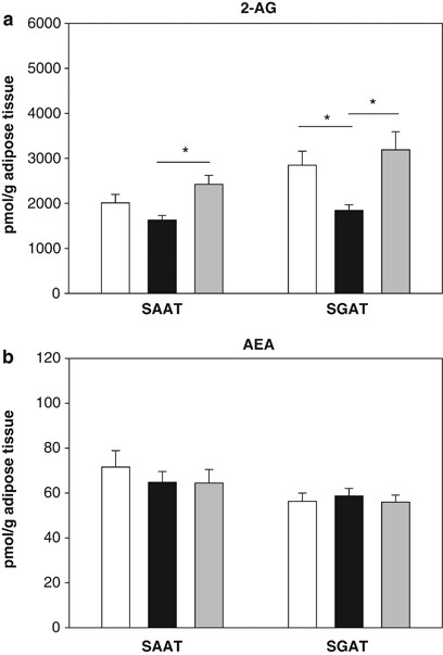 Investigations Of The Human Endocannabinoid System In Two Subcutaneous Adipose Tissue Depots In Lean Subjects And In Obese Subjects Before And After Weight Loss International Journal Of Obesity