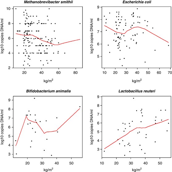 Correlation between body mass index and gut concentrations of Lactobacillus  reuteri, Bifidobacterium animalis, Methanobrevibacter smithii and  Escherichia coli | International Journal of Obesity