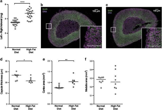 adrenal cortex supplement hormone contamination analysis results
