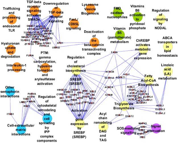 Dna Methylation And Gene Expression Patterns In Adipose Tissue Differ Significantly Within Young Adult Monozygotic Bmi Discordant Twin Pairs International Journal Of Obesity