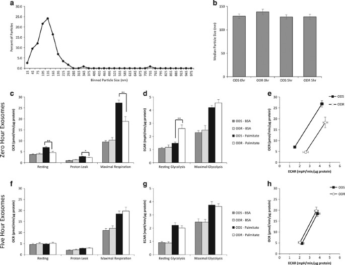 Diet Resistant Obesity Is Characterized By A Distinct Plasma Proteomic Signature And Impaired Muscle Fiber Metabolism International Journal Of Obesity