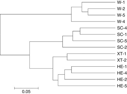 Pyrosequencing Reveals Highly Diverse And Species Specific Microbial Communities In Sponges From The Red Sea The Isme Journal Pyrosequencing Reveals Highly Diverse And Species Specific Microbial Communities In Sponges From The Red Sea The Isme Journal