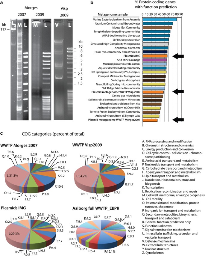 Community Wide Plasmid Gene Mobilization And Selection The Isme Journal Community Wide Plasmid Gene Mobilization And Selection The Isme Journal