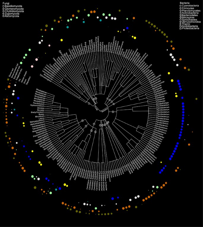 Potential sources of microbial colonizers in an initial soil ecosystem  after retreat of an alpine glacier | The ISME Journal