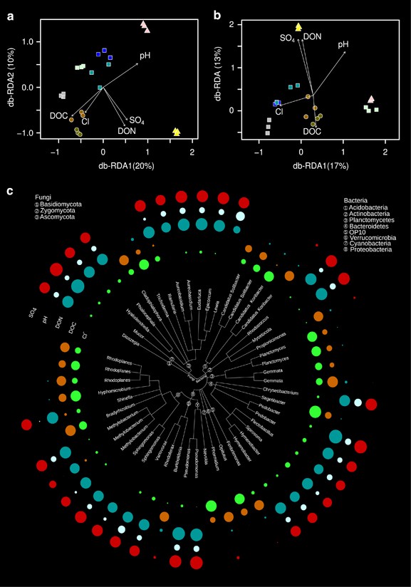 Potential sources of microbial colonizers in an initial soil ecosystem  after retreat of an alpine glacier | The ISME Journal