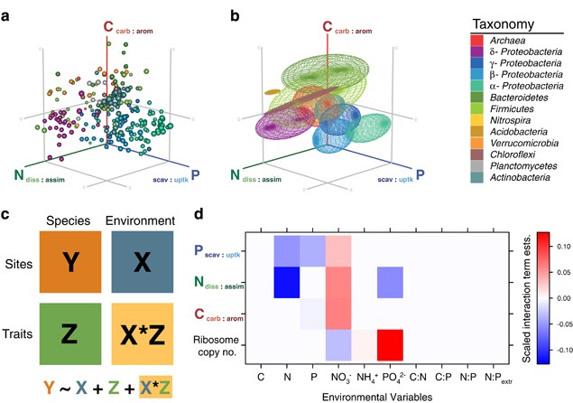 A Genomic Perspective On Stoichiometric Regulation Of Soil Carbon Cycling The Isme Journal