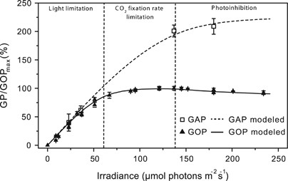 Cyanobacterial Photosynthesis Under Sulfidic Conditions Insights From The Isolate Leptolyngbya Sp Strain Hensonii The Isme Journal