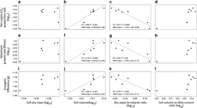 hypothesis of bacterial growth figure 2