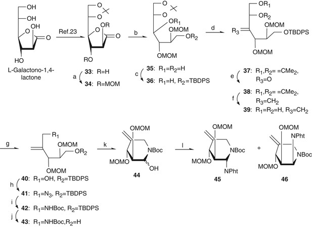 Gem Diamine 1 N Iminosugars As Versatile Glycomimetics Synthesis Biological Activity And Therapeutic Potential The Journal Of Antibiotics Gem Diamine 1 N Iminosugars As Versatile Glycomimetics Synthesis Biological Activity And Therapeutic Potential The Journal Of Antibiotics