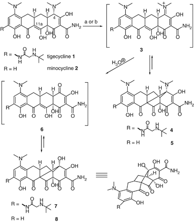 Facile Conversion Of Tetracycline Antibiotics To 4 11a Bridged Derivatives Via Oxidative Mannich Cyclization The Journal Of Antibiotics