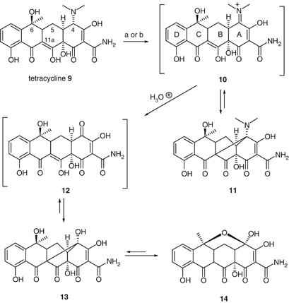 Facile Conversion Of Tetracycline Antibiotics To 4 11a Bridged Derivatives Via Oxidative Mannich Cyclization The Journal Of Antibiotics
