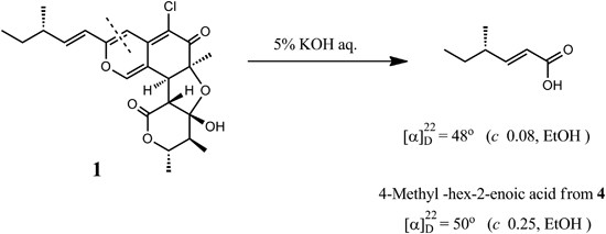 scheme 1