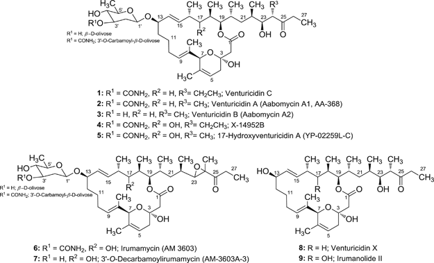 Venturicidin C A New Membered Macrolide Produced By Streptomyces Sp Ts 2 2 The Journal Of Antibiotics