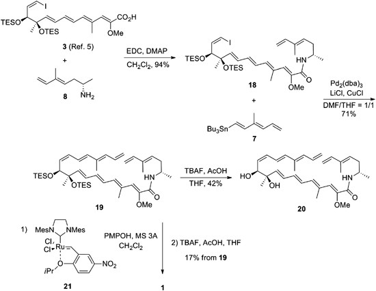 scheme 3